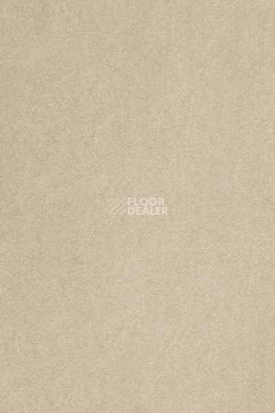 Ковролин AW Masquerade Kai 33 фото 1 | FLOORDEALER